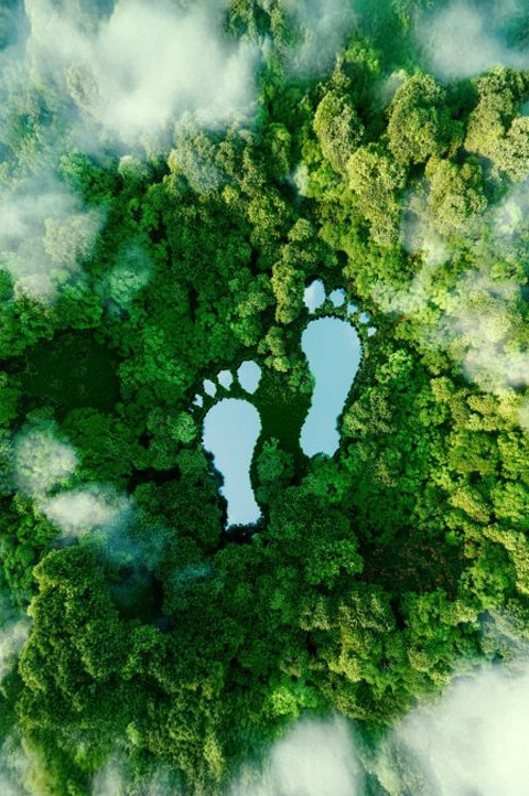 Why Choose StartGreen Sri Lanka