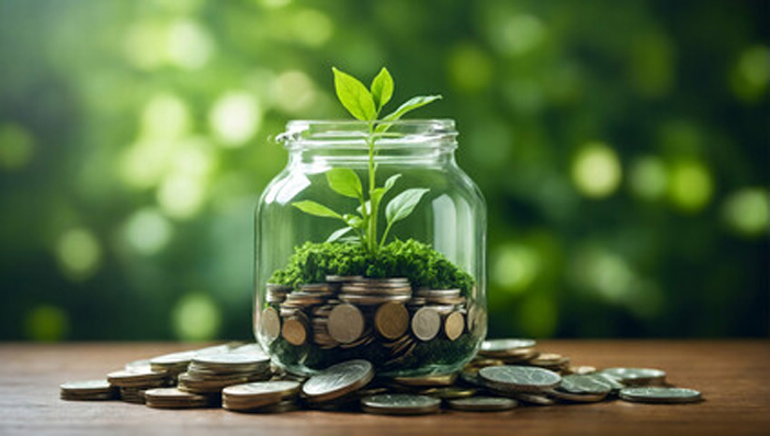 Green Financing Solution in Start Green Sri Lanka Green Financing Solution