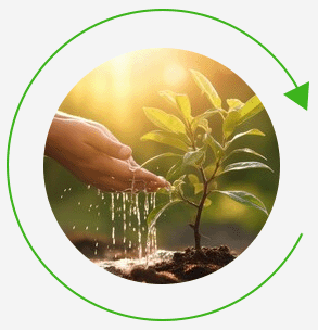 Tree Plantation