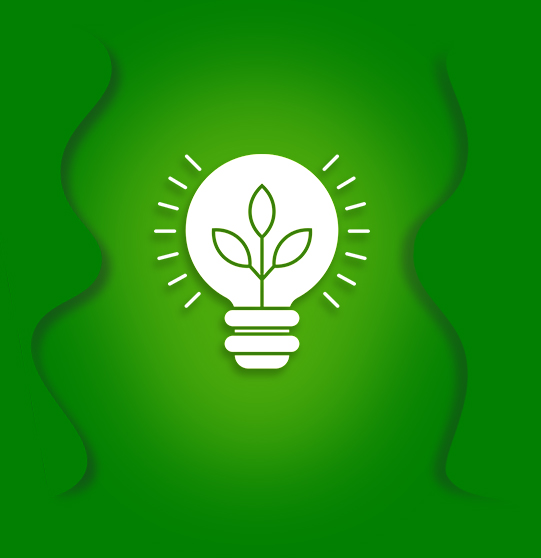 About Start Green Sri Lanka About Start Green Sri Lanka